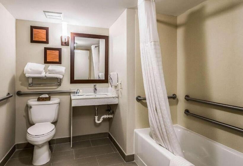 Camera Standard Letto King Accessibile ai persone con mobilità ridotta, Comfort Inn & Suites Chattanooga West   Lookout Mountain