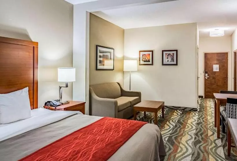 身障者適用スイートルーム, Comfort Inn & Suites Chattanooga West   Lookout Mountain