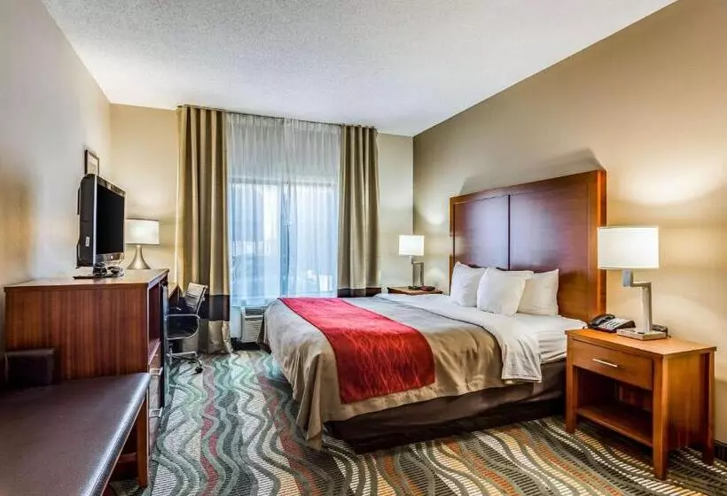 身障者適用スイートルーム, Comfort Inn & Suites Chattanooga West   Lookout Mountain
