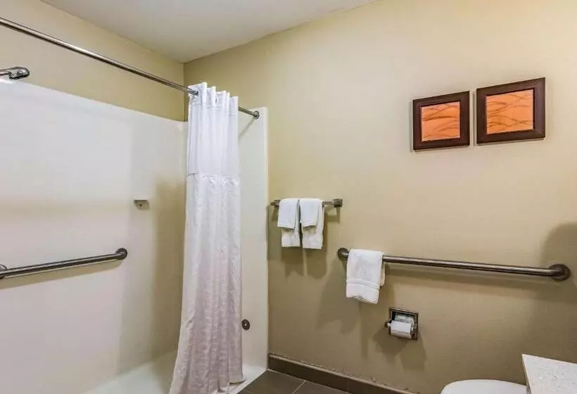 身障者適用スイートルーム, Comfort Inn & Suites Chattanooga West   Lookout Mountain