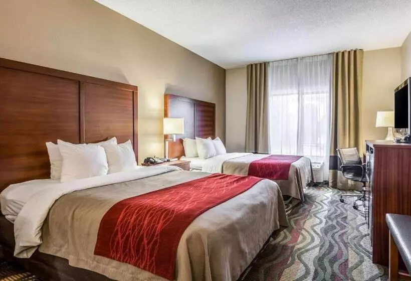 スイート, Comfort Inn & Suites Chattanooga West   Lookout Mountain