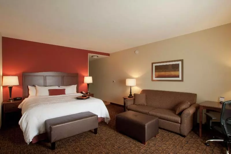 身障者適用スタンダードルーム, Country Inn & Suites By Radisson, Birch Run Frankenmuth, Mi