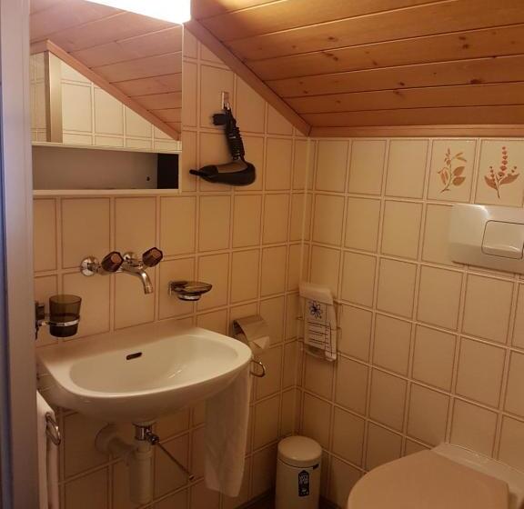 اتاق استاندارد با بالکن, Garni Alpenruh