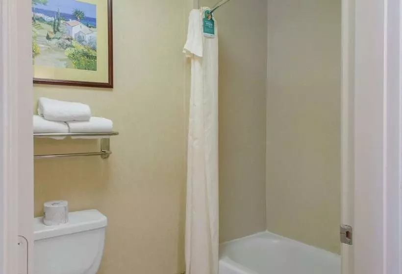 سوییت, Homewood Suites By Hilton College Station