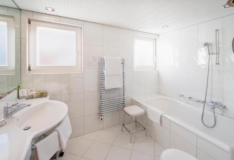 可观景的小型套房, Metropol & Spa Zermatt