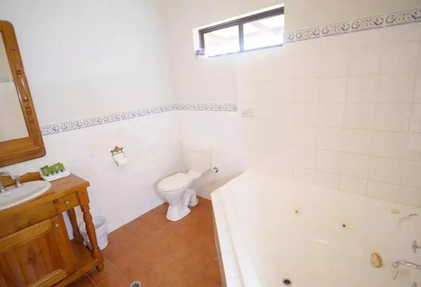 اتاق استاندارد با دسترسی به اسپا, Margaret River Motel