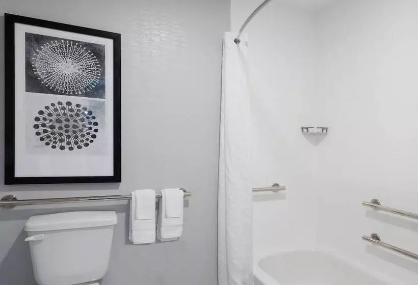 سوئیت 2 خوابه, Residence Inn Columbus