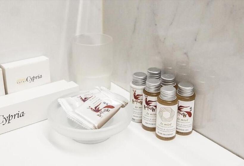 スタンダードルーム, Athens Cypria