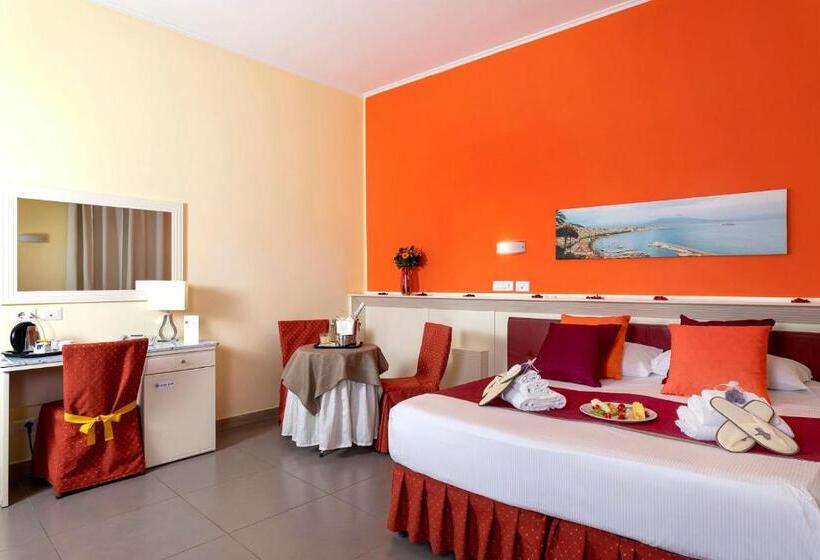 اتاق استاندارد, Capodichino International