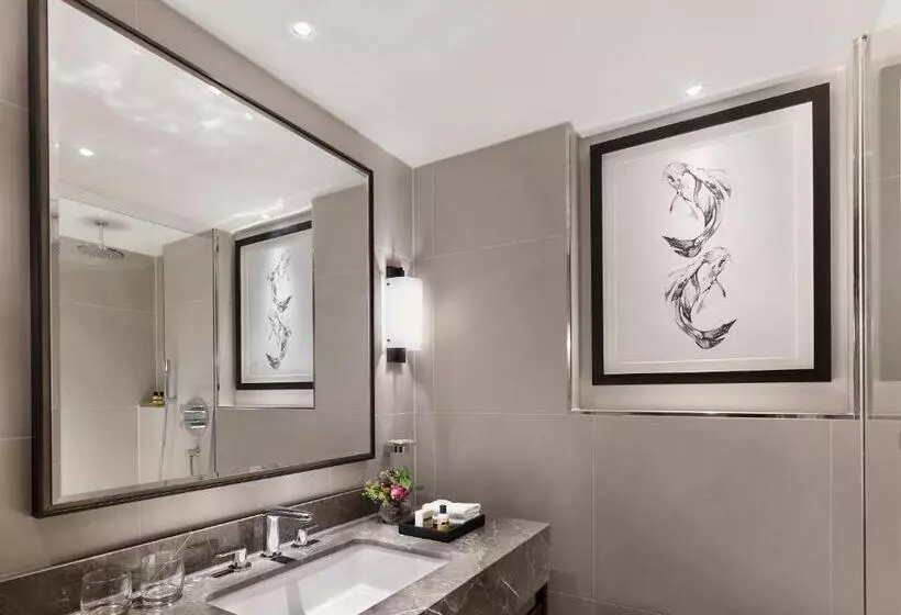 چشم‌انداز باغ اتاق کلوب, Hyatt Regency London The Churchill