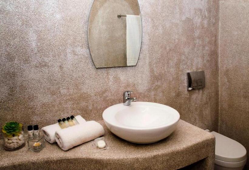 ガーデンビュースタンダードルーム, Olia