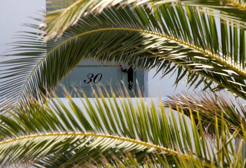 ガーデンビュースタンダードルーム, Olia