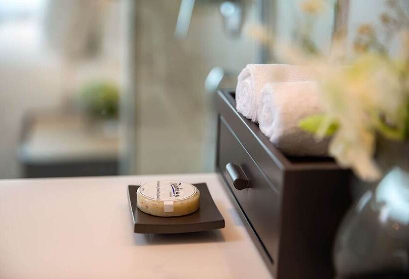 标准间, Park Plaza Gurgaon