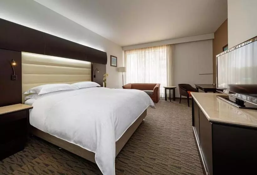 キングサイズベッドのクラブルーム, Sheraton Bogota