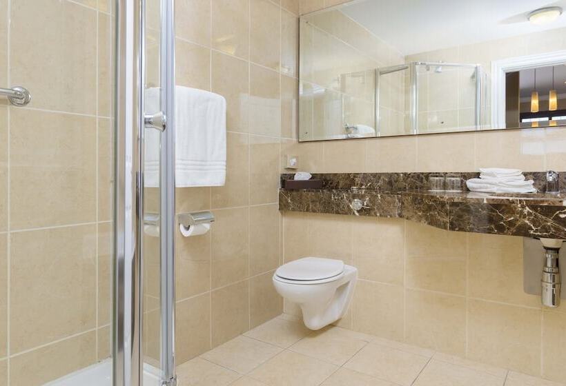 豪华房间, The Brehon Hotel & Spa