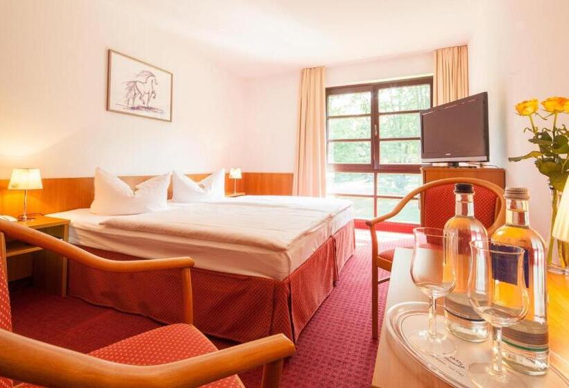 اتاق استاندارد, Kim Hotel Im Park