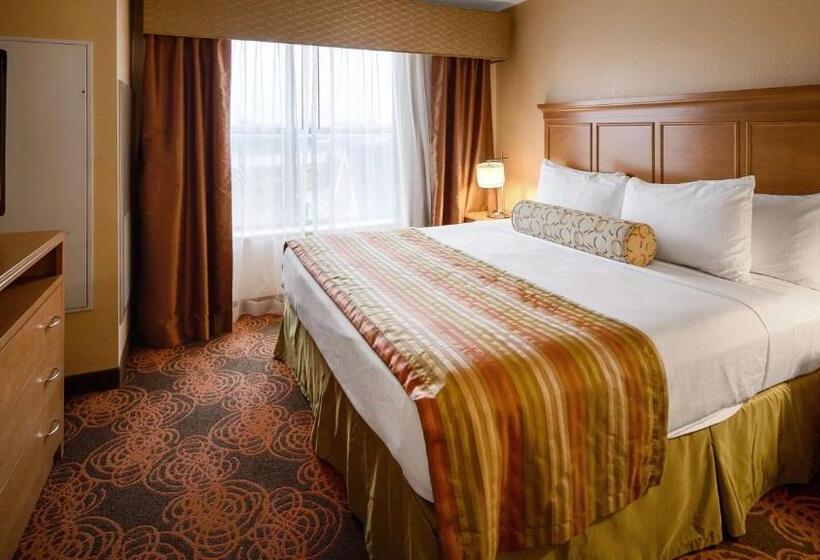 غرفة قياسية سرير كينج, Best Western Plus Waco North