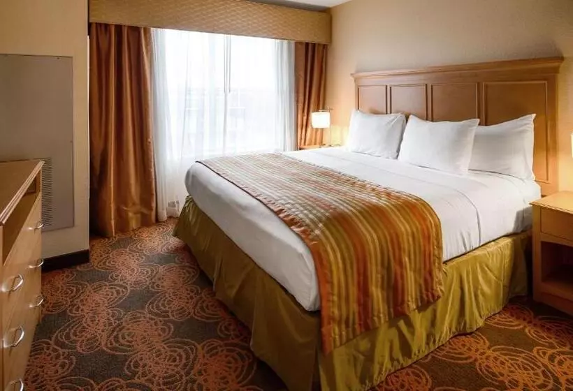 キングサイズベッドのスタンダードルーム, Best Western Plus Waco North