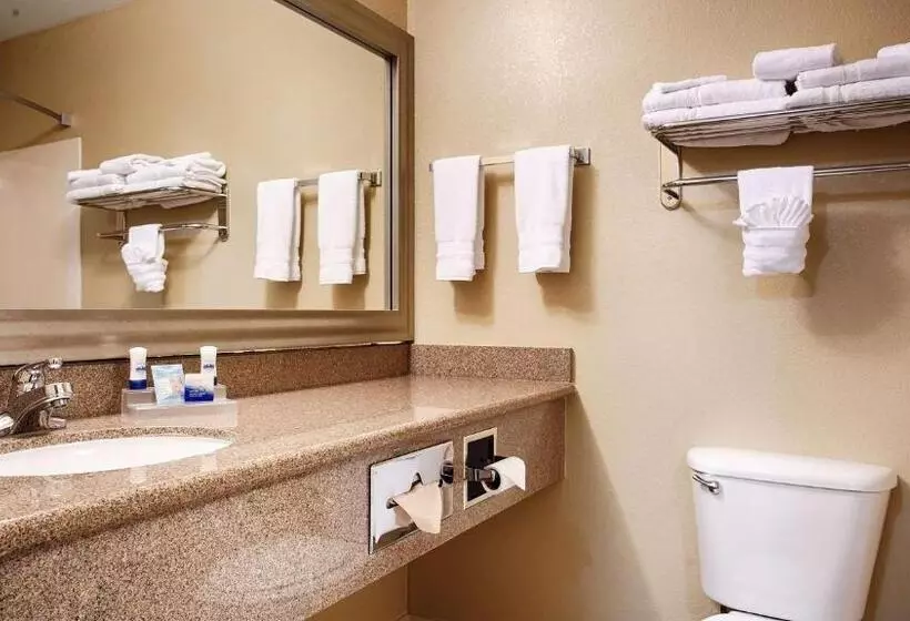 キングサイズベッドのスタンダードルーム, Best Western Plus Waco North