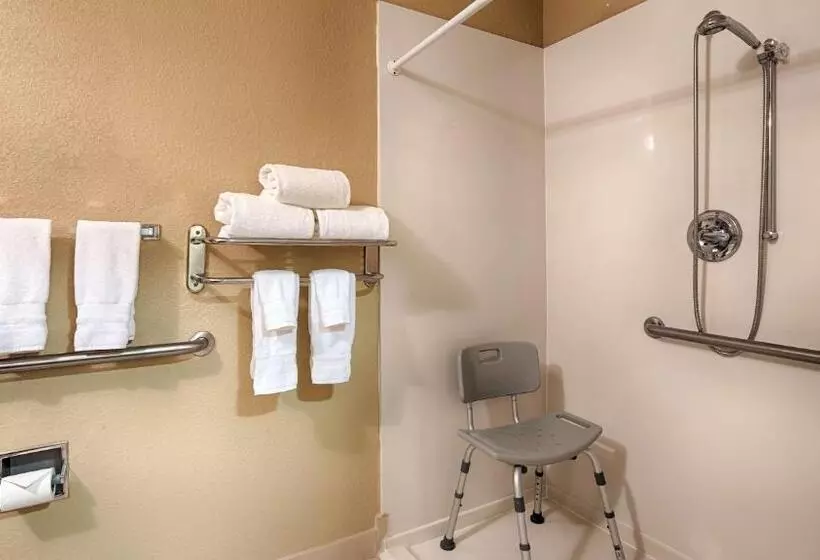 身障者適用キングサイズベッドルーム, Best Western Plus Waco North