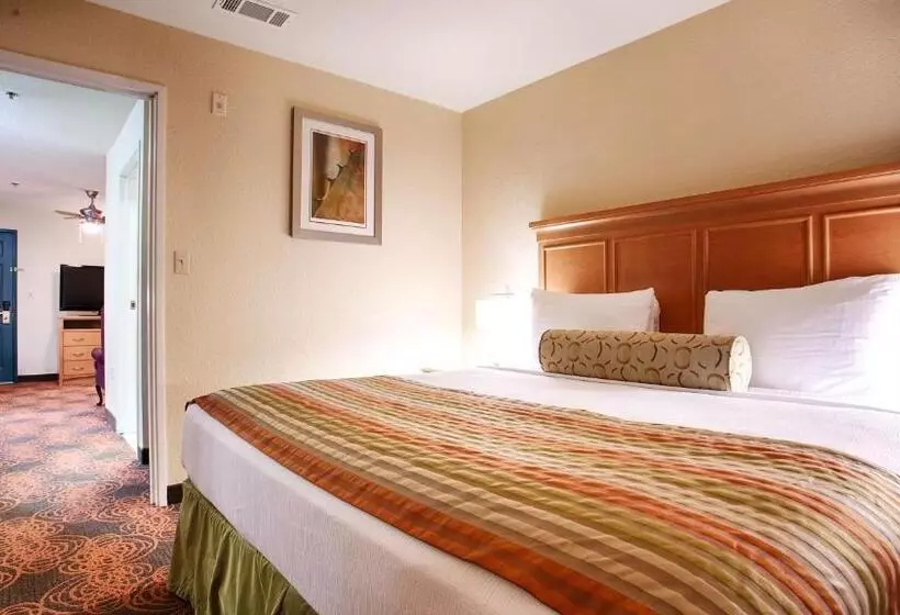 身障者適用スイートルーム, Best Western Plus Waco North