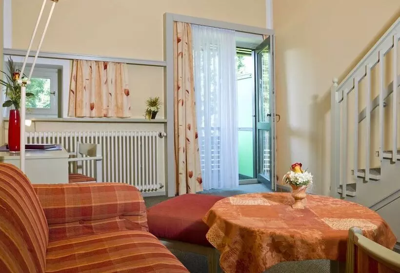 اتاق استاندارد یک نفره, Chrysantihof