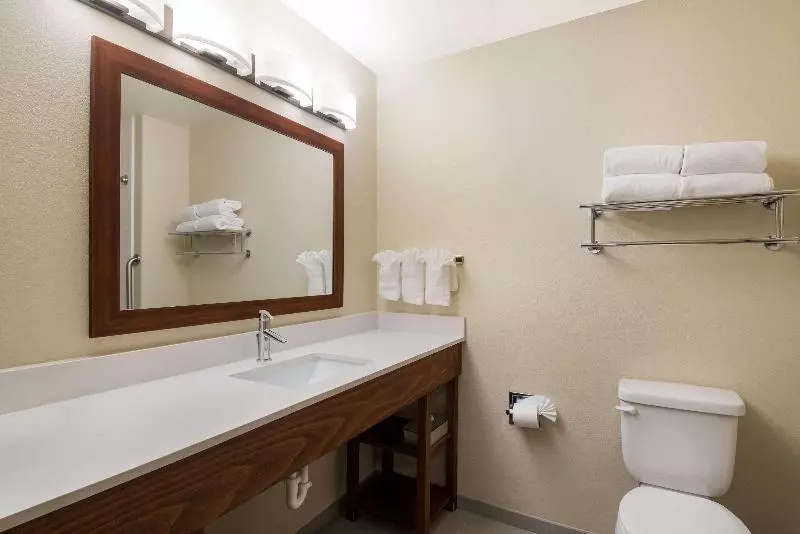 キングサイズベッドのスタンダードルーム, Comfort Inn Fort Morgan
