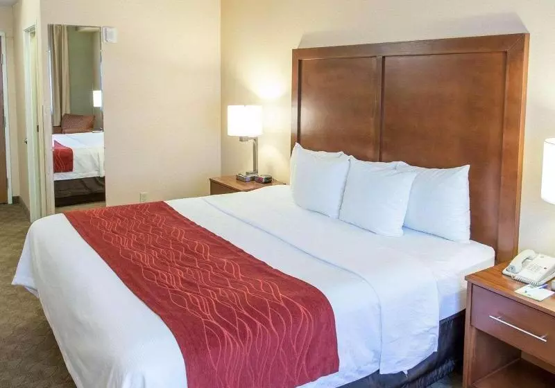 キングサイズベッドのスタンダードルーム, Comfort Inn Fort Morgan