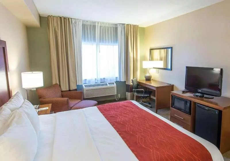 キングサイズベッドのスタンダードルーム, Comfort Inn Fort Morgan