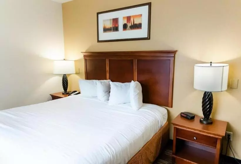 キングサイズベッドのスタンダードルーム, Country Inn & Suites By Radisson, Helen, Ga