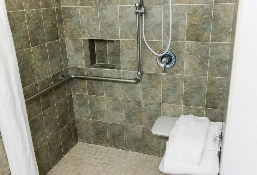 身障者適用キングサイズベッドルーム, Country Inn & Suites By Radisson, Helen, Ga