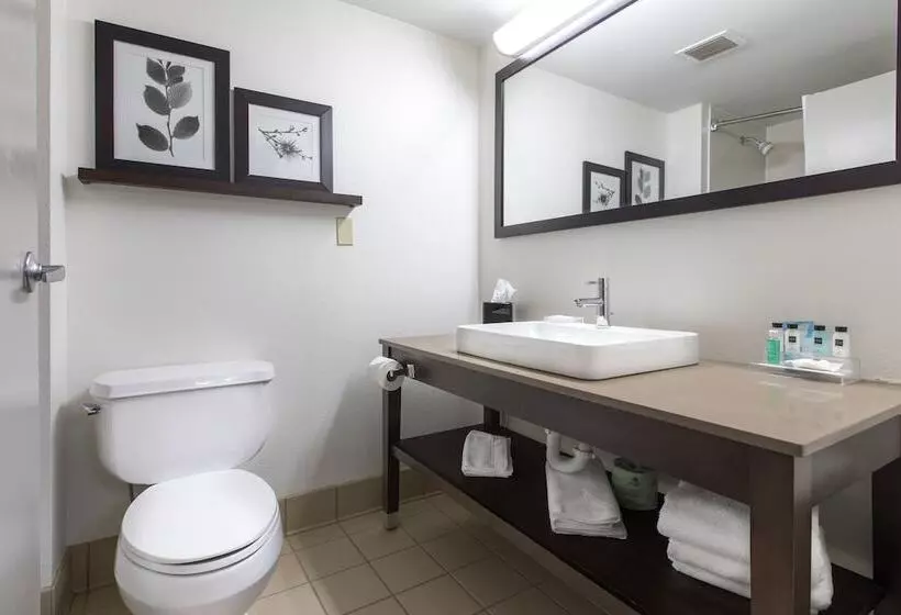 スイート, Country Inn & Suites By Radisson, Lake Norman Huntersville, Nc