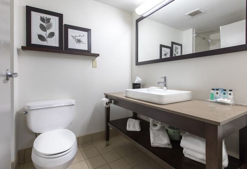 Люкс Адаптированный для Инвалидов, Country Inn & Suites By Radisson, Lake Norman Huntersville, Nc