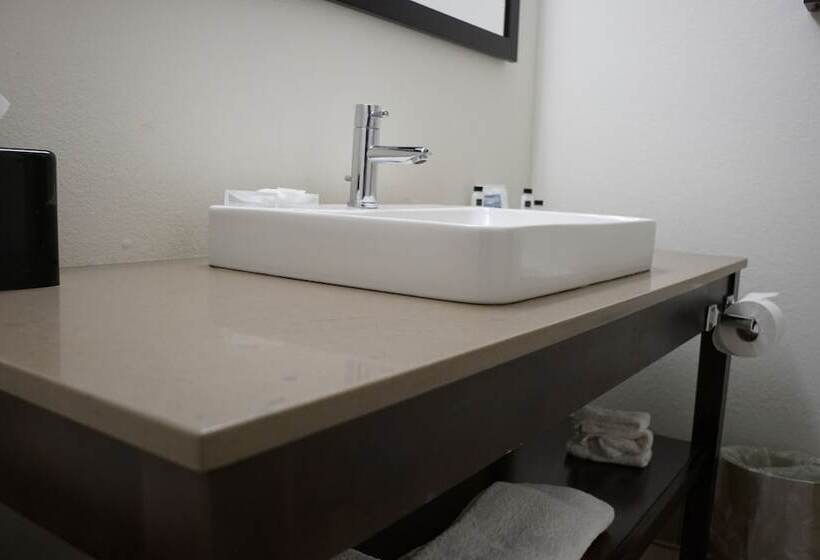 Люкс Адаптированный для Инвалидов, Country Inn & Suites By Radisson, Lake Norman Huntersville, Nc