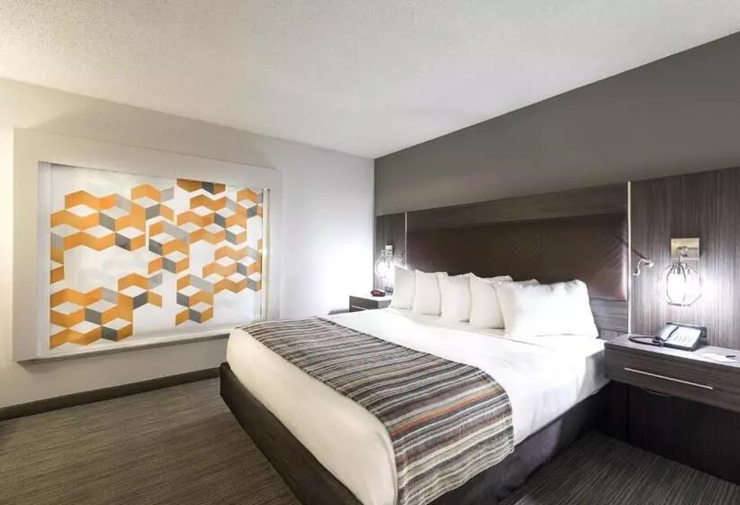 キングサイズベッドのスタンダードルーム, Country Inn & Suites By Radisson, Lake Norman Huntersville, Nc