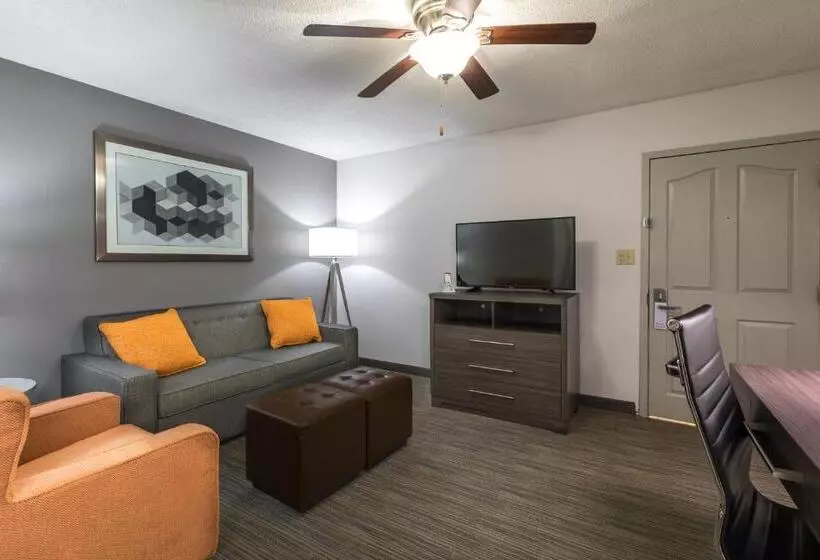 キングサイドベッドのスタンダードワンルーム, Country Inn & Suites By Radisson, Lake Norman Huntersville, Nc