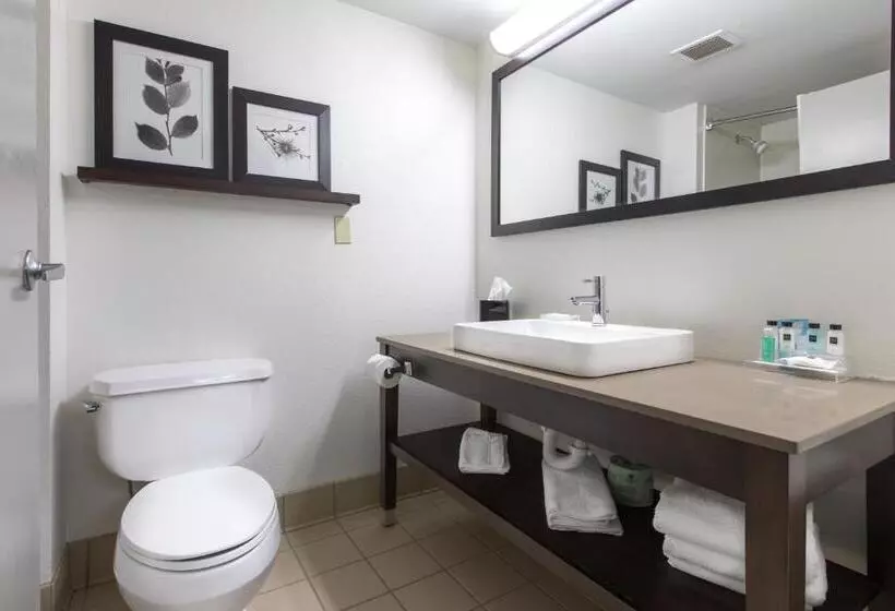 キングサイドベッドのスタンダードワンルーム, Country Inn & Suites By Radisson, Lake Norman Huntersville, Nc