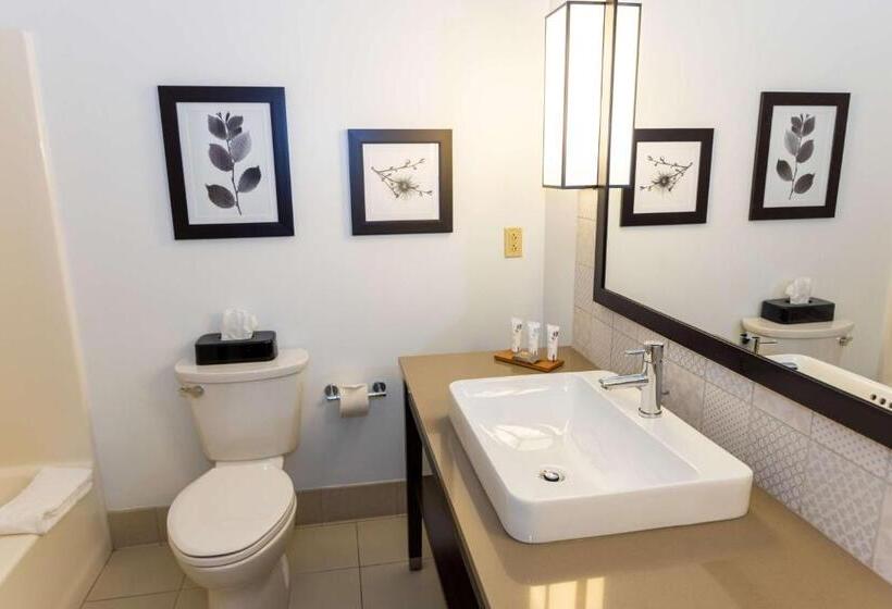 Номер Стандарт Адаптированный для Инвалидов, Country Inn & Suites By Radisson, Lehighton Jim Thorpe, Pa
