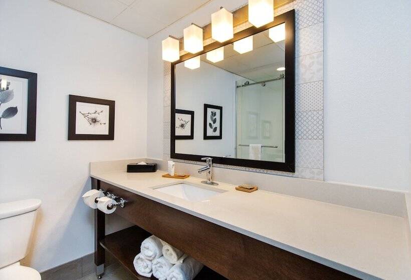 סוויטה מותאמת לאדם עם מוגבלויות, Country Inn & Suites By Radisson, Rapid City, Sd