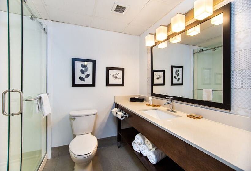 סוויטה, Country Inn & Suites By Radisson, Rapid City, Sd