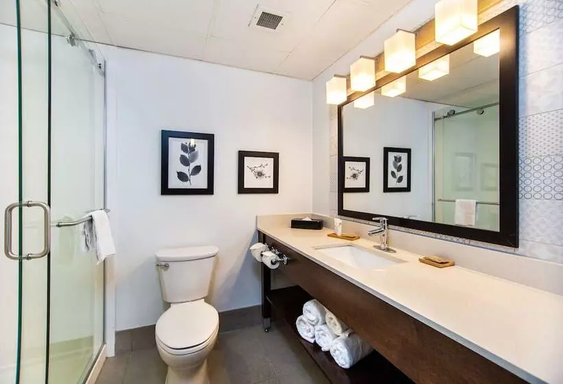 スイート, Country Inn & Suites By Radisson, Rapid City, Sd