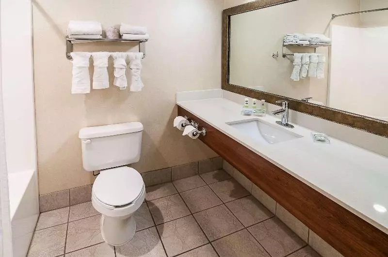 キングサイズベッドのスタンダードルーム, Country Inn & Suites By Radisson, Rapid City, Sd