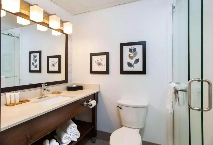 身障者適用スタンダードルーム, Country Inn & Suites By Radisson, Rapid City, Sd