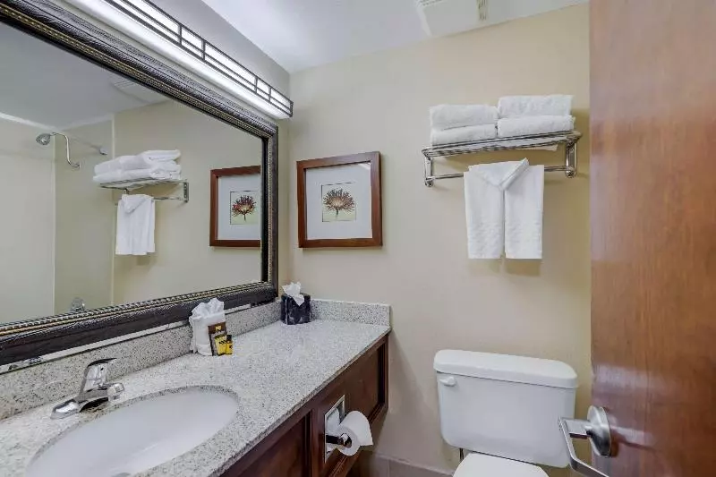 キングサイズベッドのスイートルーム, Country Inn & Suites By Radisson, Rock Falls, Il