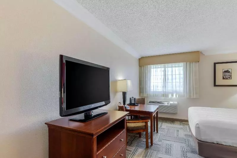 キングサイズベッドのスイートルーム, Country Inn & Suites By Radisson, Rock Falls, Il