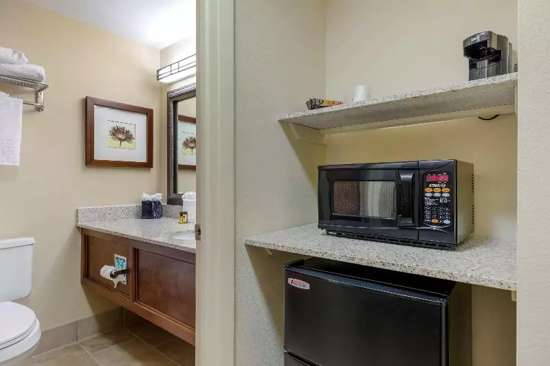 キングサイズベッドのスイートルーム, Country Inn & Suites By Radisson, Rock Falls, Il