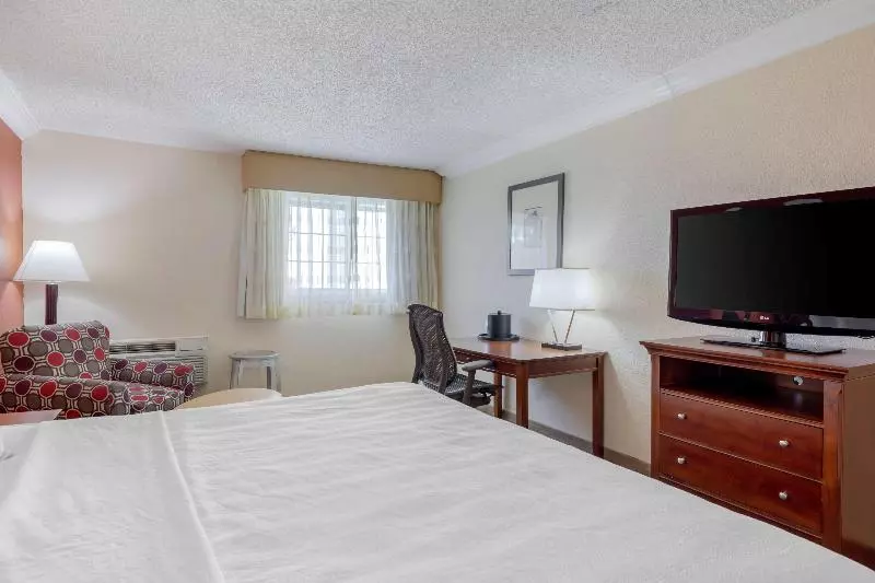 キングサイズベッドのスイートルーム, Country Inn & Suites By Radisson, Rock Falls, Il