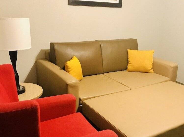 适合残疾人士使用的套间, Country Inn & Suites By Radisson, Warner Robins, Ga