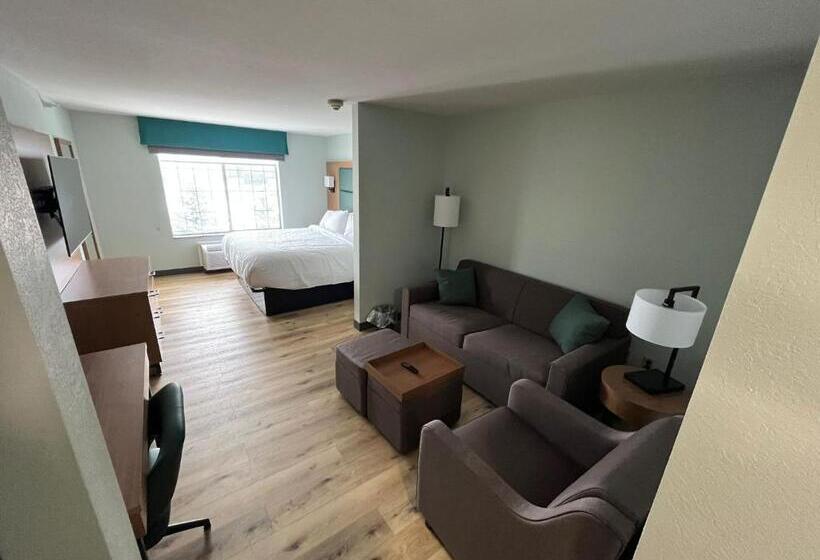 适合残疾人士使用的带超级大床的标准间, Wingate By Wyndham