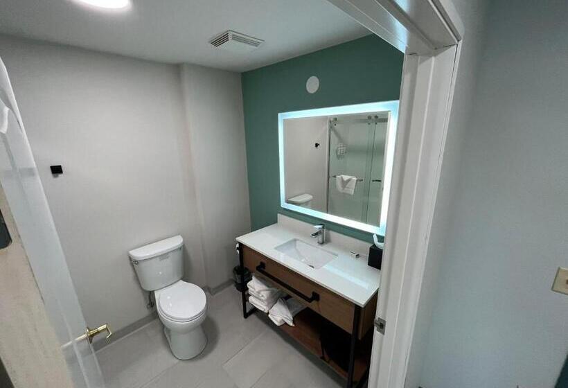 带大床的标准间, Wingate By Wyndham